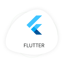 Flutter app development